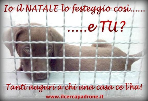 ...se vuoi regalare un cucciolo, non comprarlo...ADOTTALO al canile più vicino!